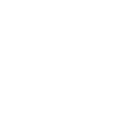 Bee Free